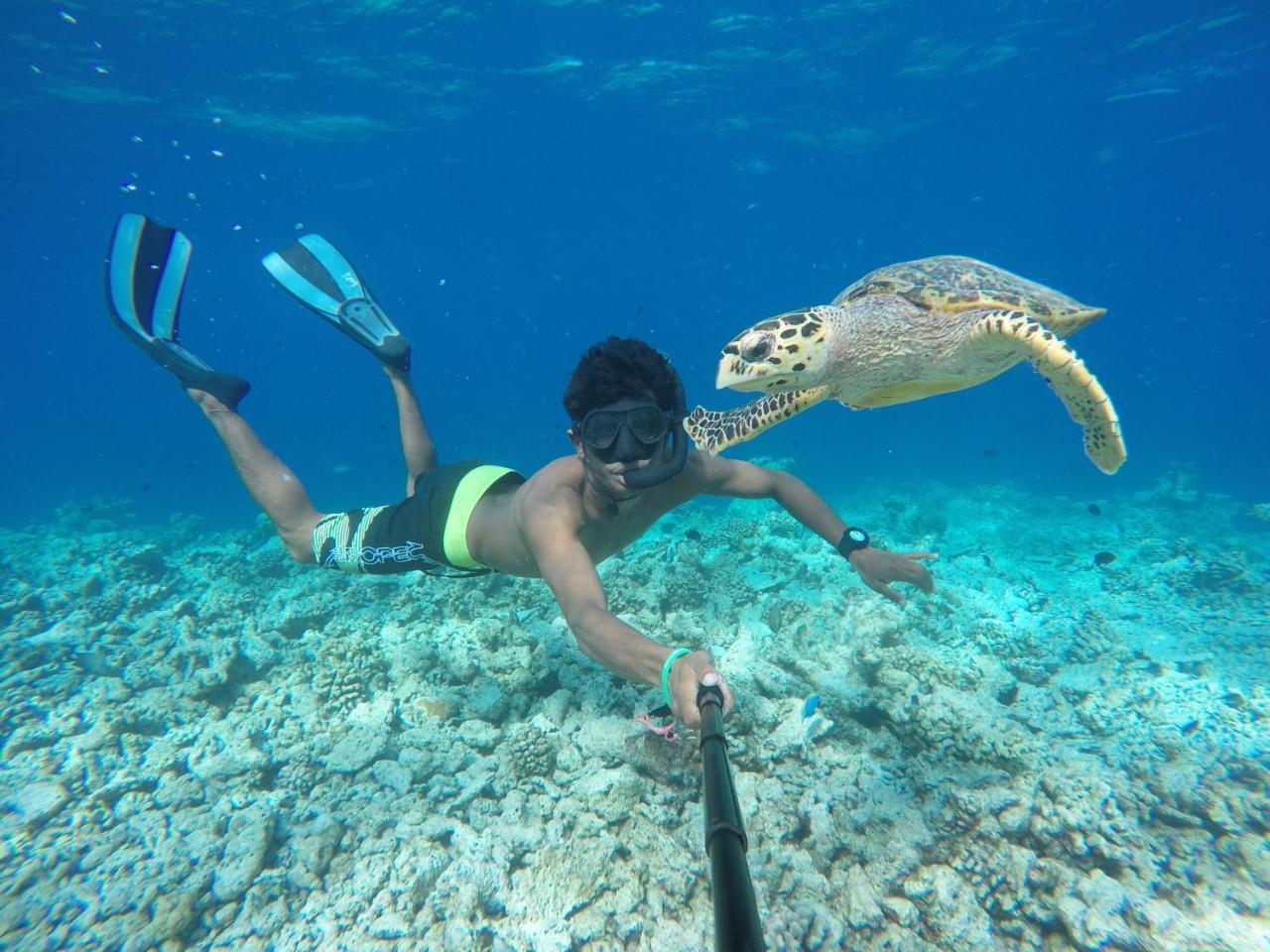 Koimala Beach Ukulhas Bagian luar foto